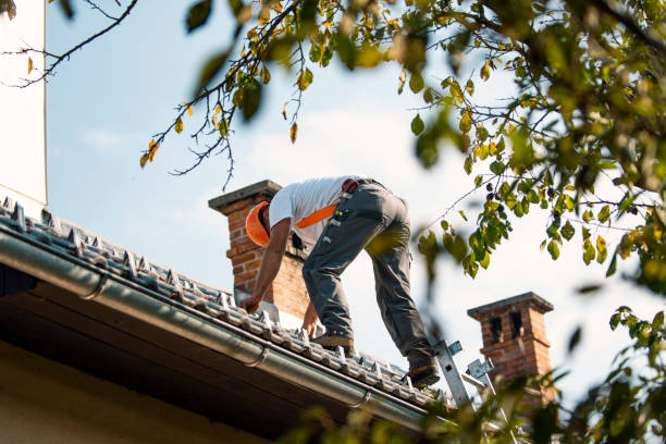 Best Best Roofing Contractors  in Rawls Springs, MS